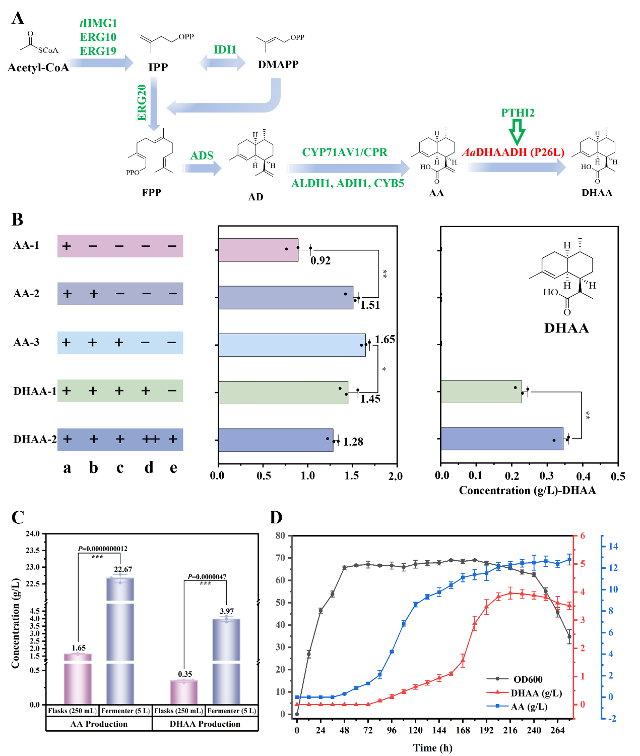 图3 酿酒酵母中DHAA的代谢工程