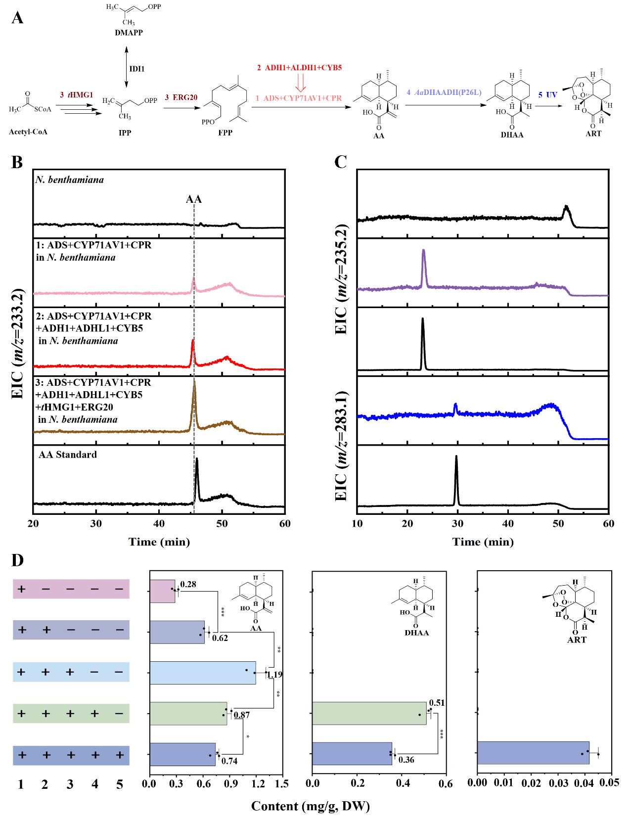 图4 在本氏烟草中重构ART的生物合成途径